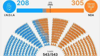 "2024 Election Winners by Party"