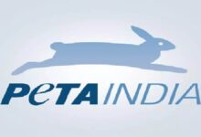 PETA released video regarding Bakrid