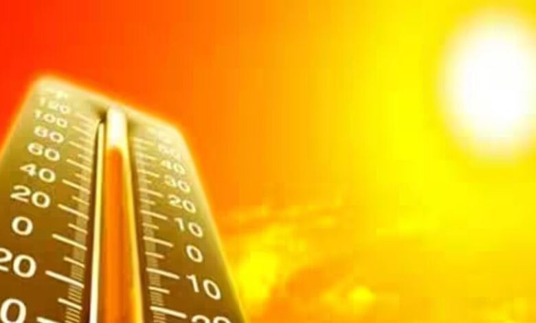 Delhi Temperature: Hottest in 10 years, relief soon?