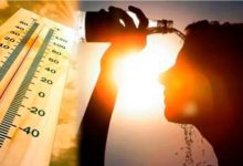 Heatwave kills 99 in Odisha in 72 hours: IMD report