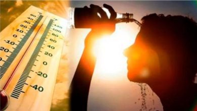 Heatwave kills 99 in Odisha in 72 hours: IMD report