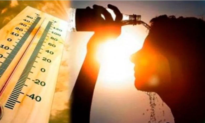 Heatwave kills 99 in Odisha in 72 hours: IMD report