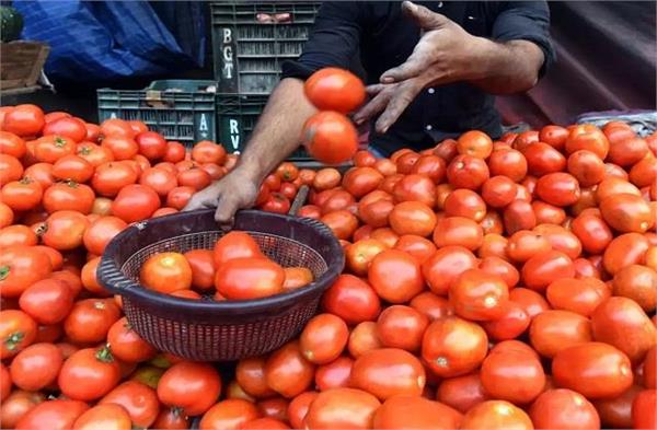 Govt: Cheap tomatoes in Delhi-NCR, know how to get them