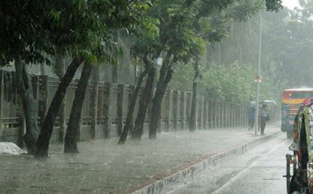 Chhattisgarh Rain Update