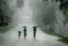 Chhattisgarh Rain Update: 460.7 mm average rainfall