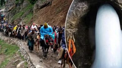 Amarnath Yatra 2024: Pilgrims deny darshan, Shivling melted