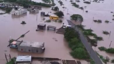 Gujarat Rain Alert: crocodiles in residential areas