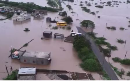 Gujarat Rain Alert: crocodiles in residential areas