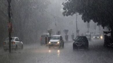 Chhattisgarh Weather: 670.6 mm average rainfall recorded