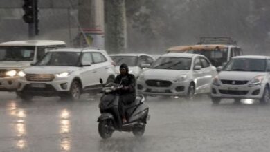 Chhattisgarh Rain Report: 788.3 mm average rainfall