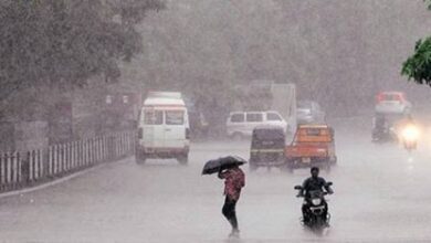 Chhattisgarh Rain Record Update: 899.5 mm rainfall