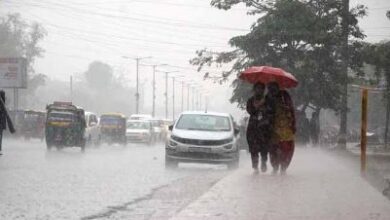 Chhattisgarh Weather Update: 709.7mm average rainfall