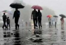 Chhattisgarh Rain Record: 1155.6 mm Average Rainfall