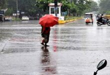 Chhattisgarh Rain Record Update: 1095.3 mm Rainfall