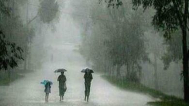 Rain Records of Chhattisgarh: 934.9 mm average rainfall record