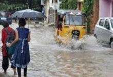 Chhattisgarh Rain Record: 1134.9 mm Average Rainfall