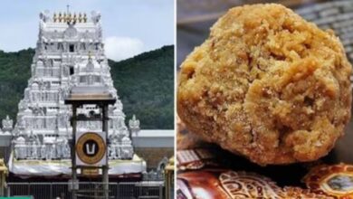 Tirupati Laddu Case Update