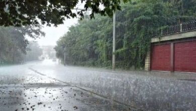 Chhattisgarh Rain New Record: 1094.9 mm rainfall record