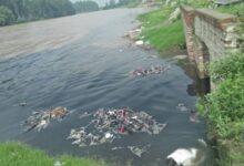 Yamuna river Pollution