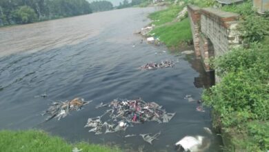 Yamuna river Pollution