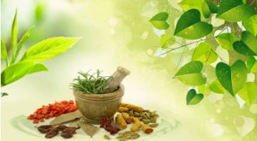 Ayurvedic Health Fair: District health fair on October 29