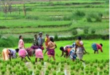 Women Farmers Day: Celebrated at agricultural center