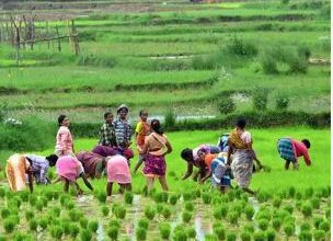 Women Farmers Day: Celebrated at agricultural center