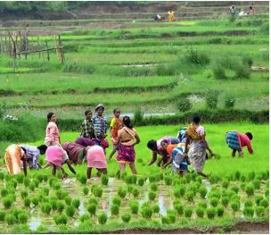 Women Farmers Day: Celebrated at agricultural center