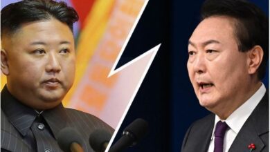 North Korea amendment: South Korea enemy state