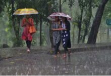 Chhattisgarh Rain Record: 1172.0 mm rainfall recorded