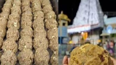 Tirupati Laddu Inquiry Stop: SIT halts probe